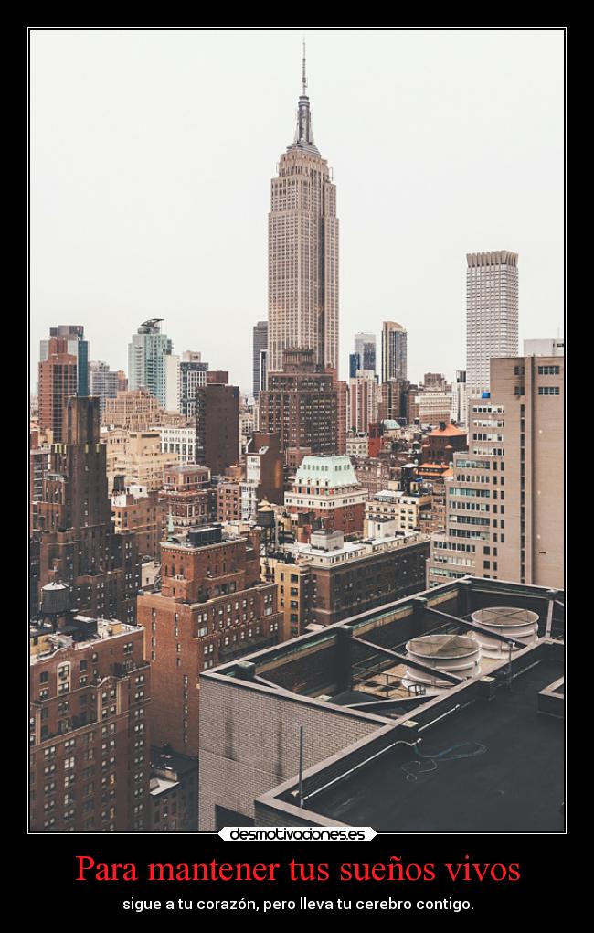 Para mantener tus sueños vivos - sigue a tu corazón, pero lleva tu cerebro contigo.