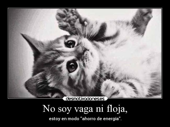 No soy vaga ni floja, - estoy en modo ahorro de energía.