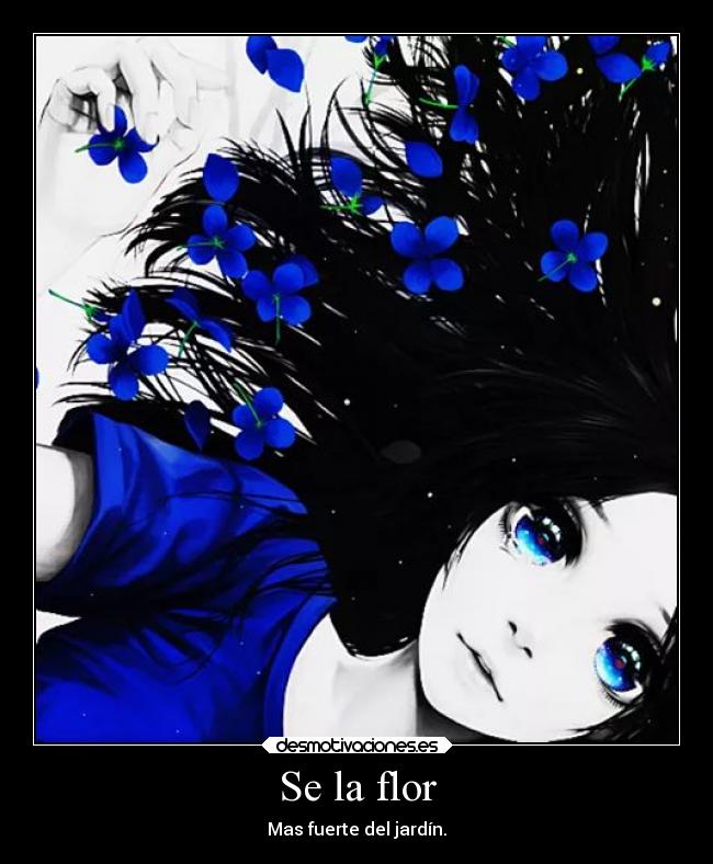 Se la flor - Mas fuerte del jardín.