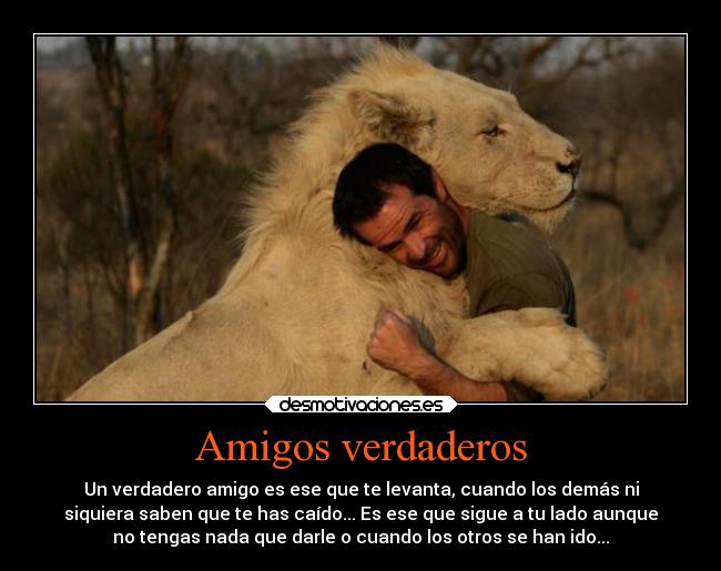 Amigos verdaderos - Un verdadero amigo es ese que te levanta, cuando los demás ni
siquiera saben que te has caído... Es ese que sigue a tu lado aunque
no tengas nada que darle o cuando los otros se han ido...