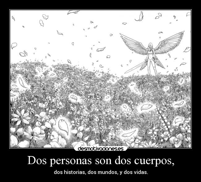 carteles amigos amor anime raptorhunters harukaze manga claymore teresa amistar personas gente kakuseisha desmotivaciones