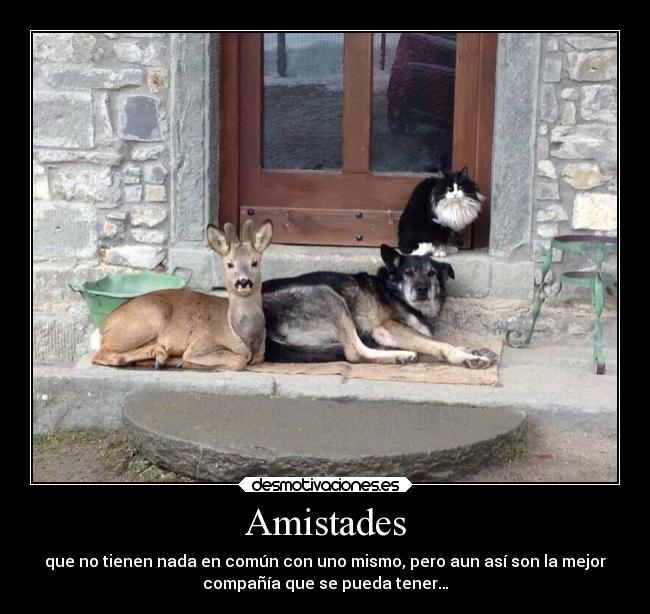 Amistades - que no tienen nada en común con uno mismo, pero aun así son la mejor
compañía que se pueda tener…