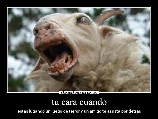 tu cara cuando - estas jugando un juego de terror y un amigo te asusta por detras