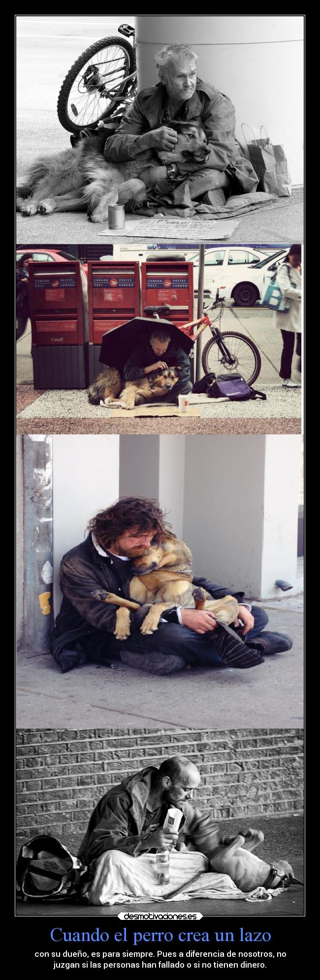 Cuando el perro crea un lazo -