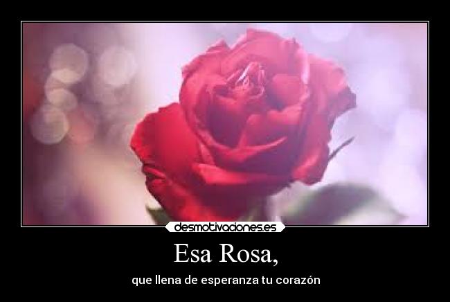 Esa Rosa, - 