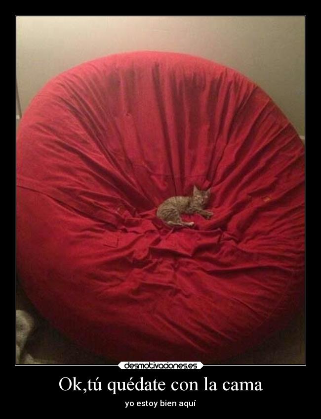 Ok,tú quédate con la cama - yo estoy bien aquí