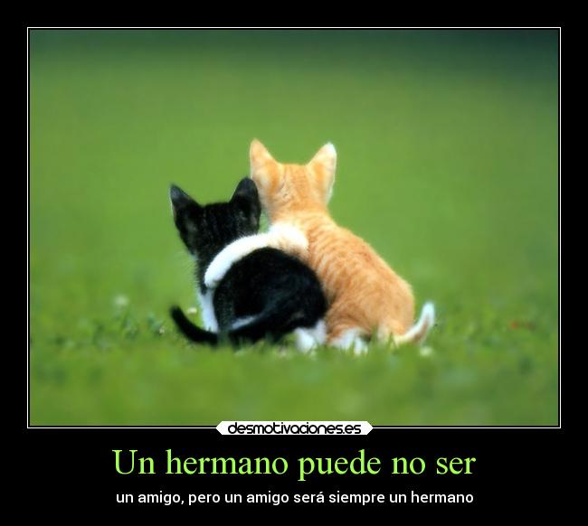 Un hermano puede no ser - un amigo, pero un amigo será siempre un hermano
