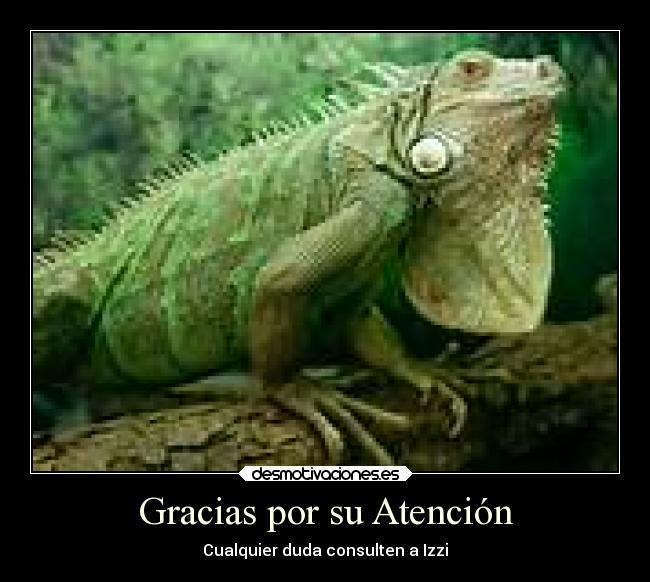 Gracias por su Atención - Cualquier duda consulten a Izzi