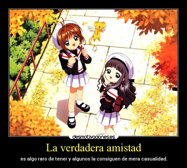 La verdadera amistad - es algo raro de tener y algunos la consiguen de mera casualidad.