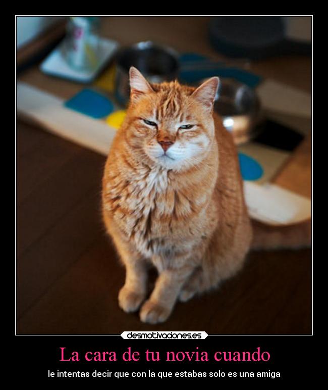 La cara de tu novia cuando - le intentas decir que con la que estabas solo es una amiga