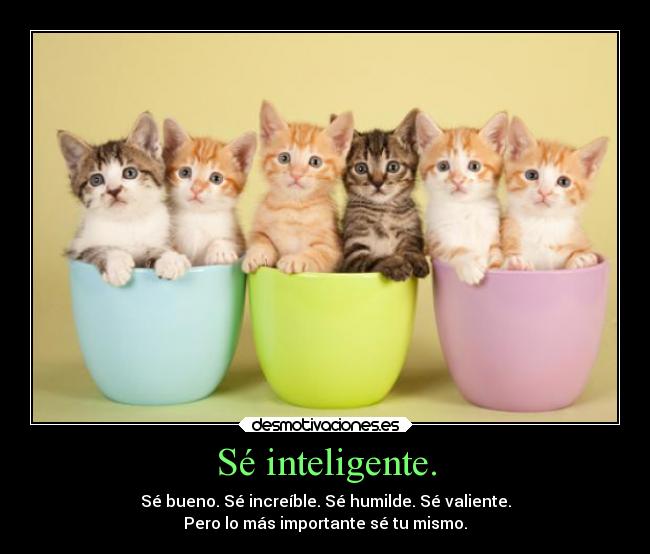 Sé inteligente. - Sé bueno. Sé increíble. Sé humilde. Sé valiente.
Pero lo más importante sé tu mismo.