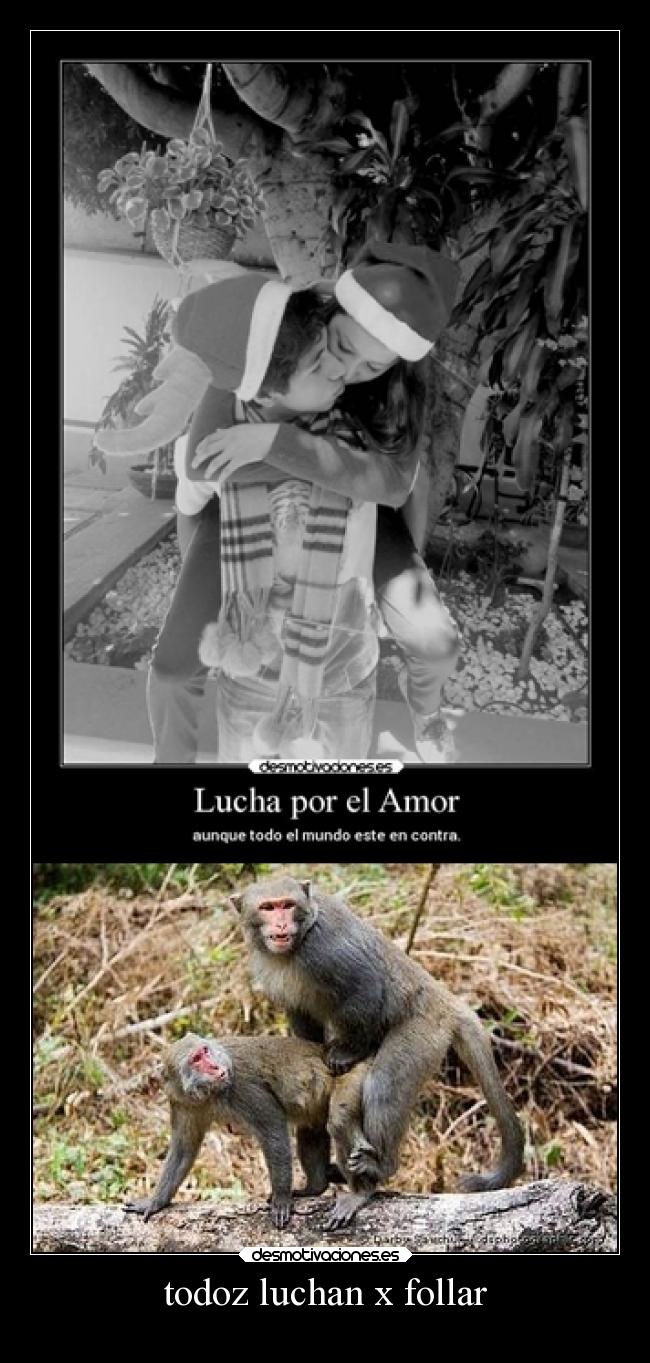 todoz luchan x follar - 