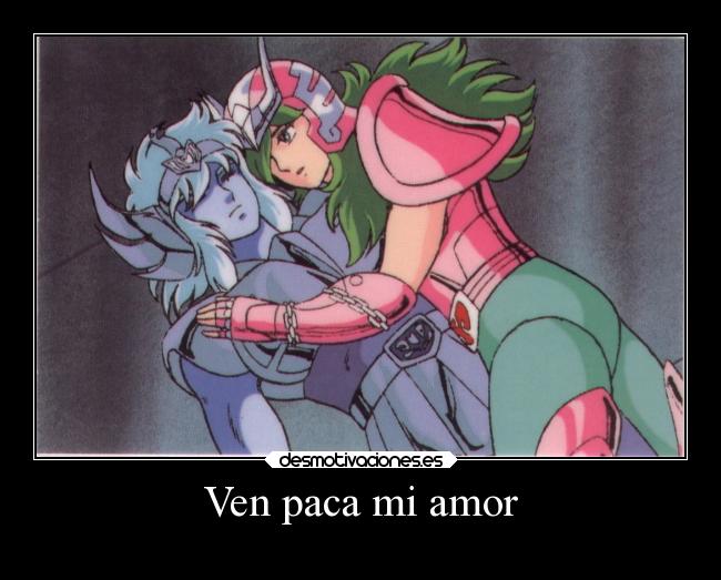 carteles amor casa anime risa shun hyoga libra saint seiya desmotivaciones