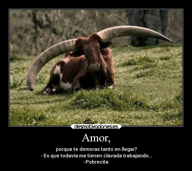 Amor, - porque te demoras tanto en llegar?
- Es que todavía me tienen clavada trabajando...
-Pobrecita