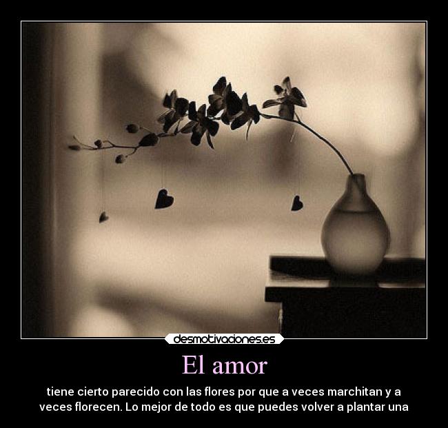 El amor - tiene cierto parecido con las flores por que a veces marchitan y a
veces florecen. Lo mejor de todo es que puedes volver a plantar una