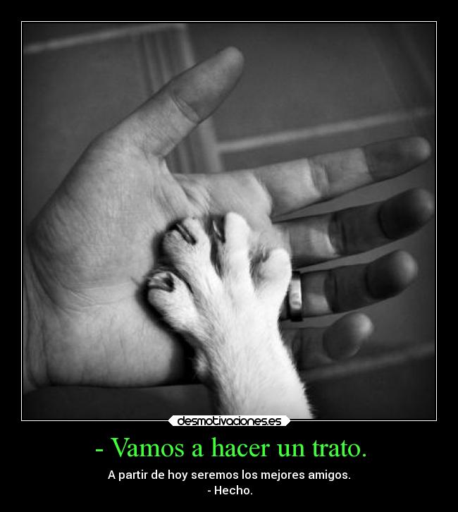 - Vamos a hacer un trato. - A partir de hoy seremos los mejores amigos.
- Hecho.