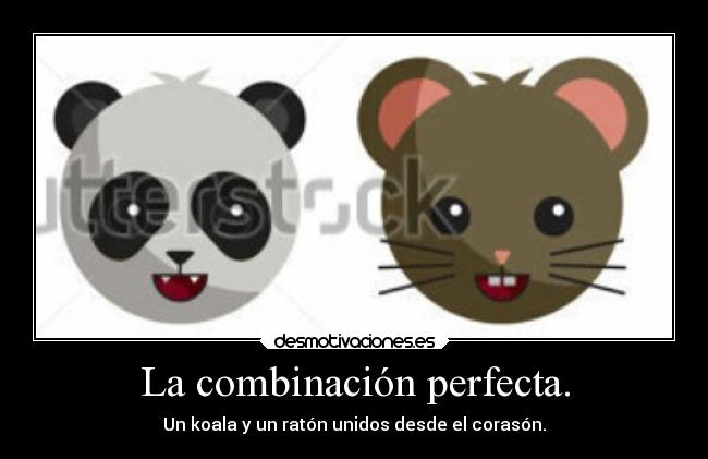 La combinación perfecta. -