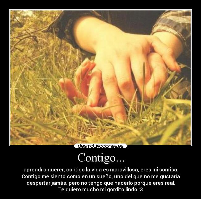Contigo... - aprendí a querer, contigo la vida es maravillosa, eres mi sonrisa.
Contigo me siento como en un sueño, uno del que no me gustaría
despertar jamás, pero no tengo que hacerlo porque eres real.
Te quiero mucho mi gordito lindo :3
