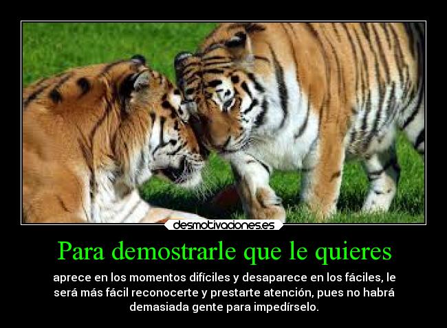 Para demostrarle que le quieres -