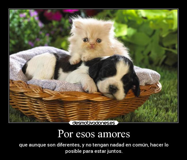 Por esos amores - que aunque son diferentes, y no tengan nadad en común, hacer lo
posible para estar juntos.