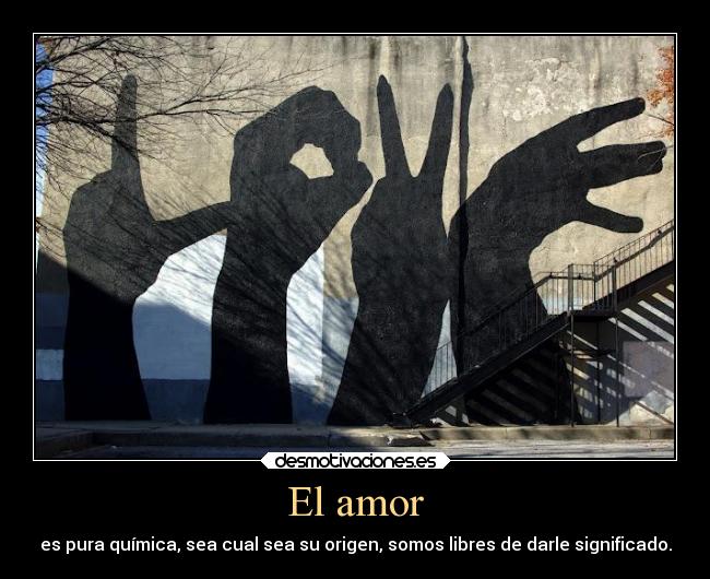 El amor - es pura química, sea cual sea su origen, somos libres de darle significado.