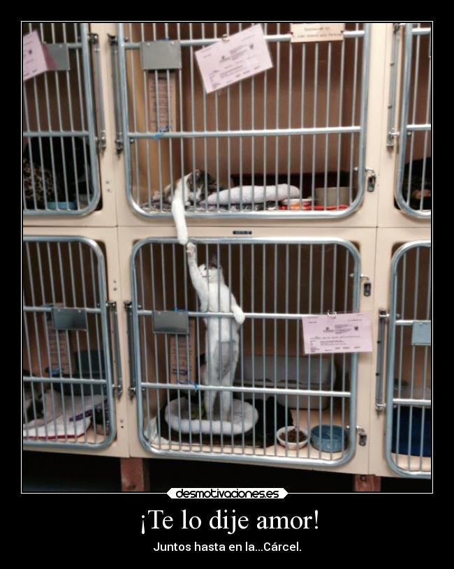 ¡Te lo dije amor! -