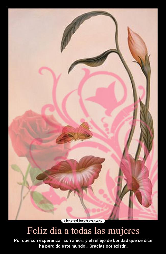 carteles amor mujer esperanza desmotivaciones