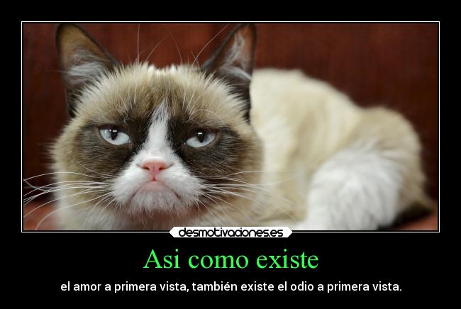 carteles amor problemas odio aprimervista desmotivaciones