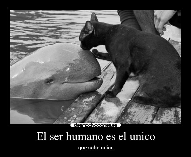 El ser humano es el unico - 