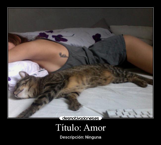 Título: Amor - Descripción: Ninguna