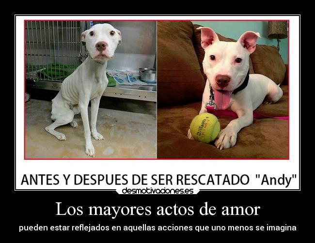 Los mayores actos de amor - pueden estar reflejados en aquellas acciones que uno menos se imagina