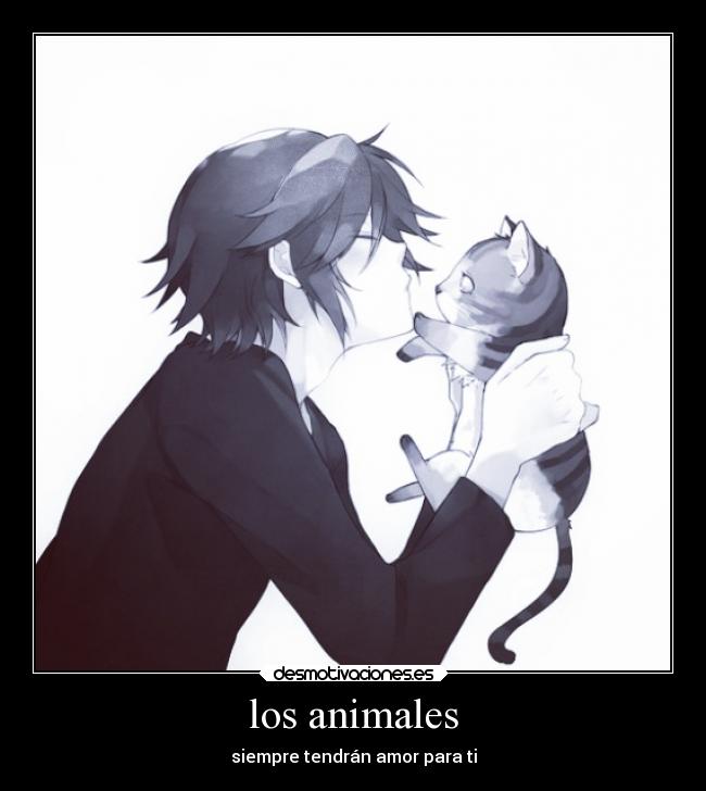los animales - siempre tendrán amor para ti