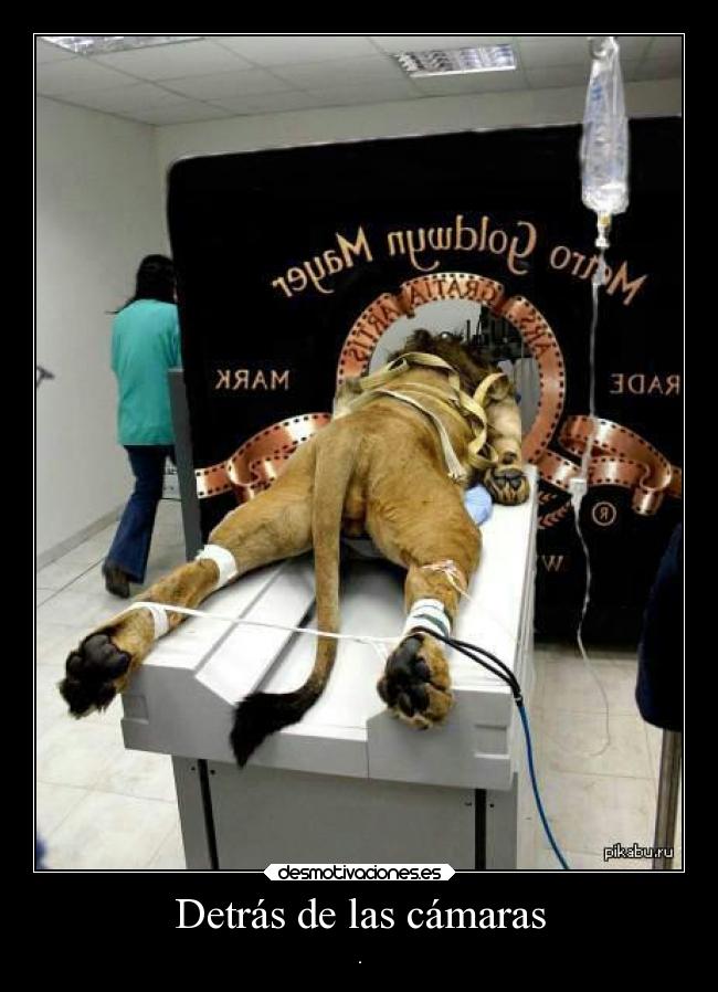 Detrás de las cámaras -
