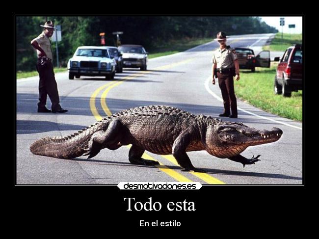 Todo esta - En el estilo