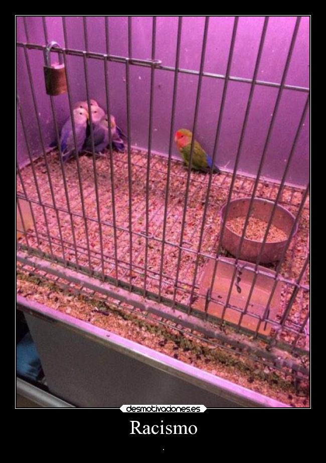 carteles animales desmotivaciones