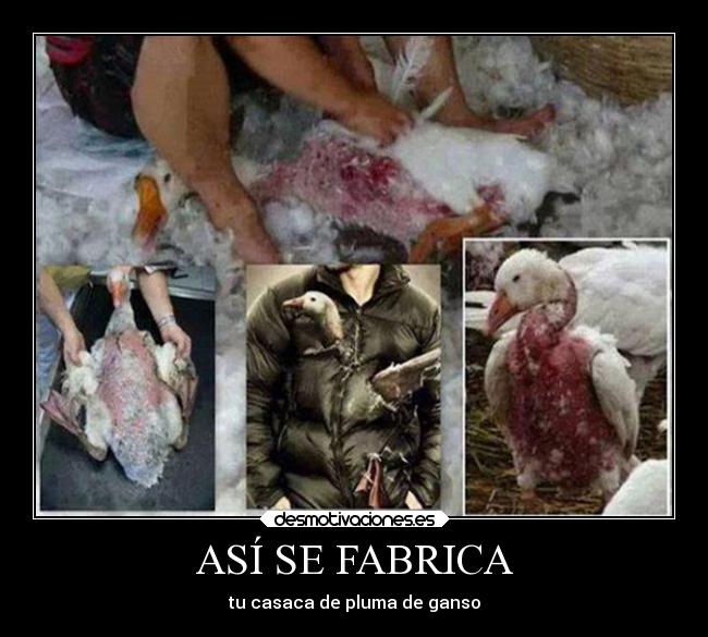 ASÍ SE FABRICA - 