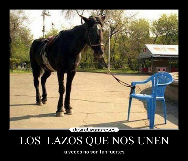 LOS  LAZOS QUE NOS UNEN - 