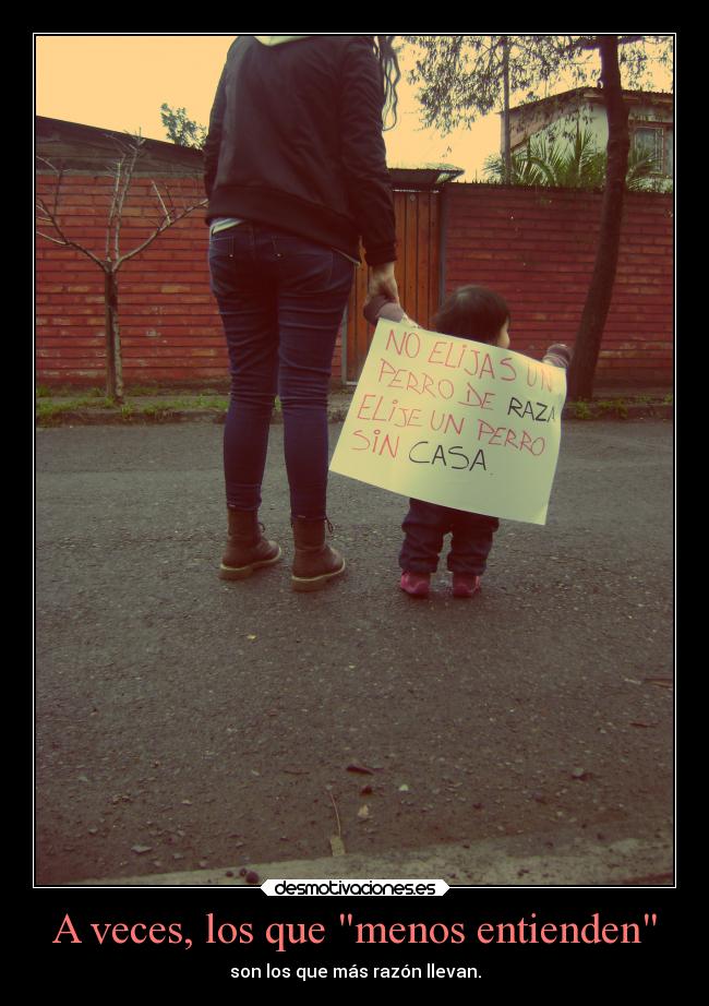 A veces, los que menos entienden - 