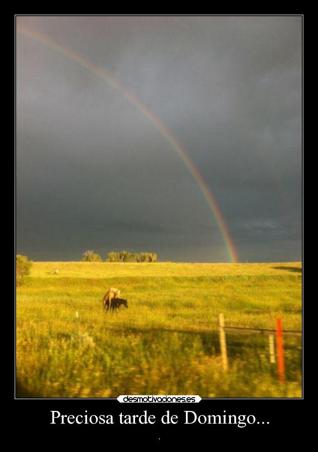 Preciosa tarde de Domingo... - 