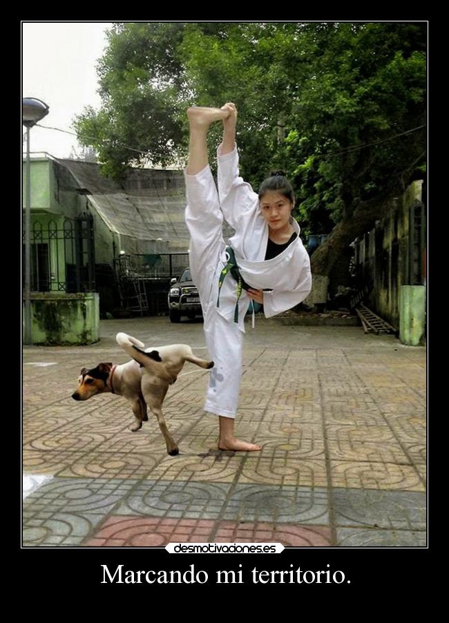 Marcando mi territorio. -