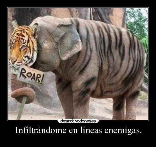 Infiltrándome en líneas enemigas. -