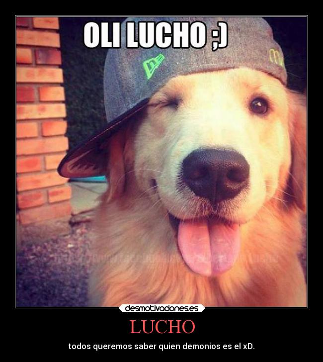 Imágenes y Carteles de LUCHO Desmotivaciones