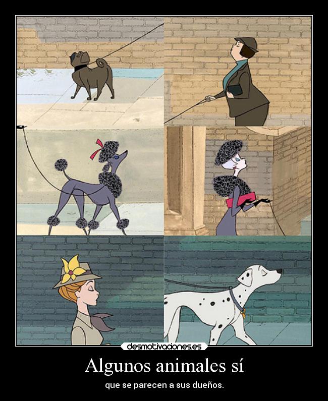 Algunos animales sí -