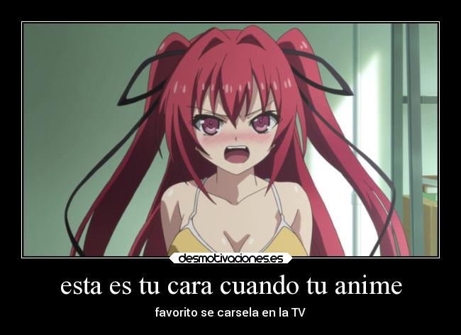 esta es tu cara cuando tu anime - favorito se carsela en la TV