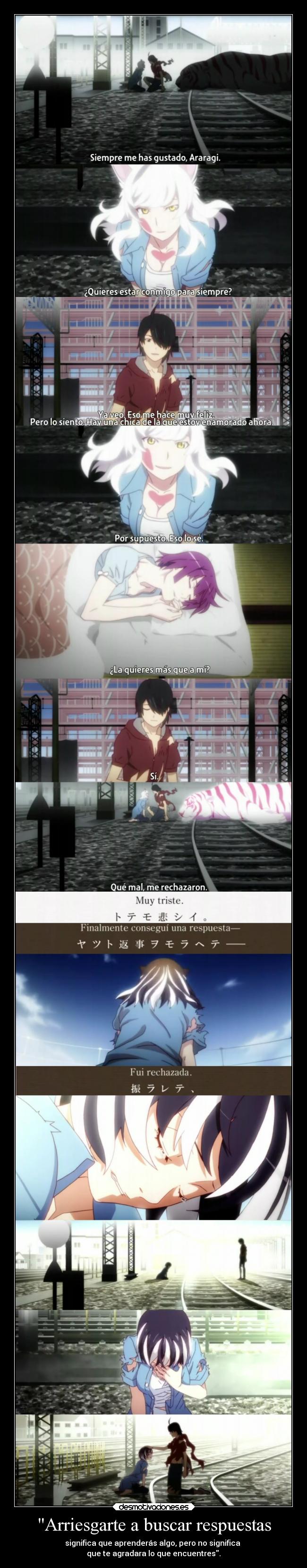 Arriesgarte a buscar respuestas -