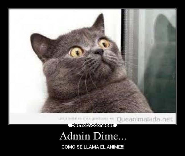 Admin Dime... - COMO SE LLAMA EL ANIME!!!