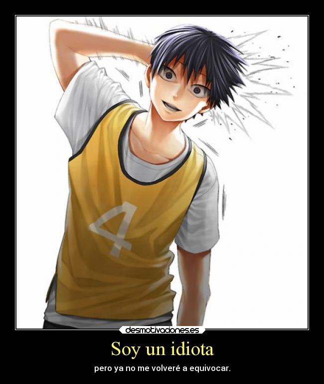 Soy un idiota - pero ya no me volveré a equivocar.