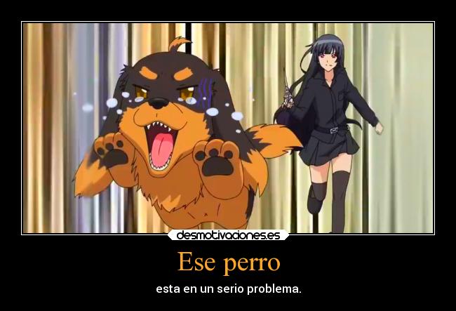 Ese perro - 