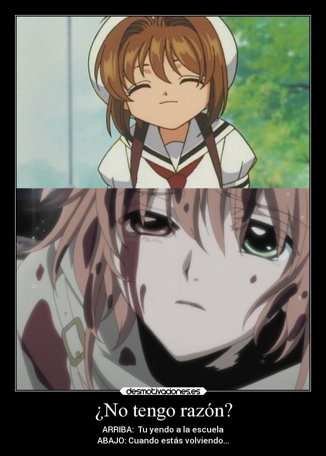 ¿No tengo razón? -