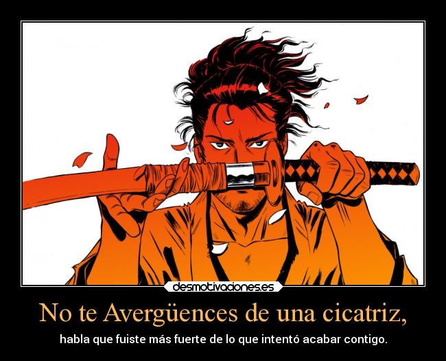 carteles anime samurai vagabond avergonzarte una cicatriz haba que fuiste mas fuerte intento matartee desmotivaciones